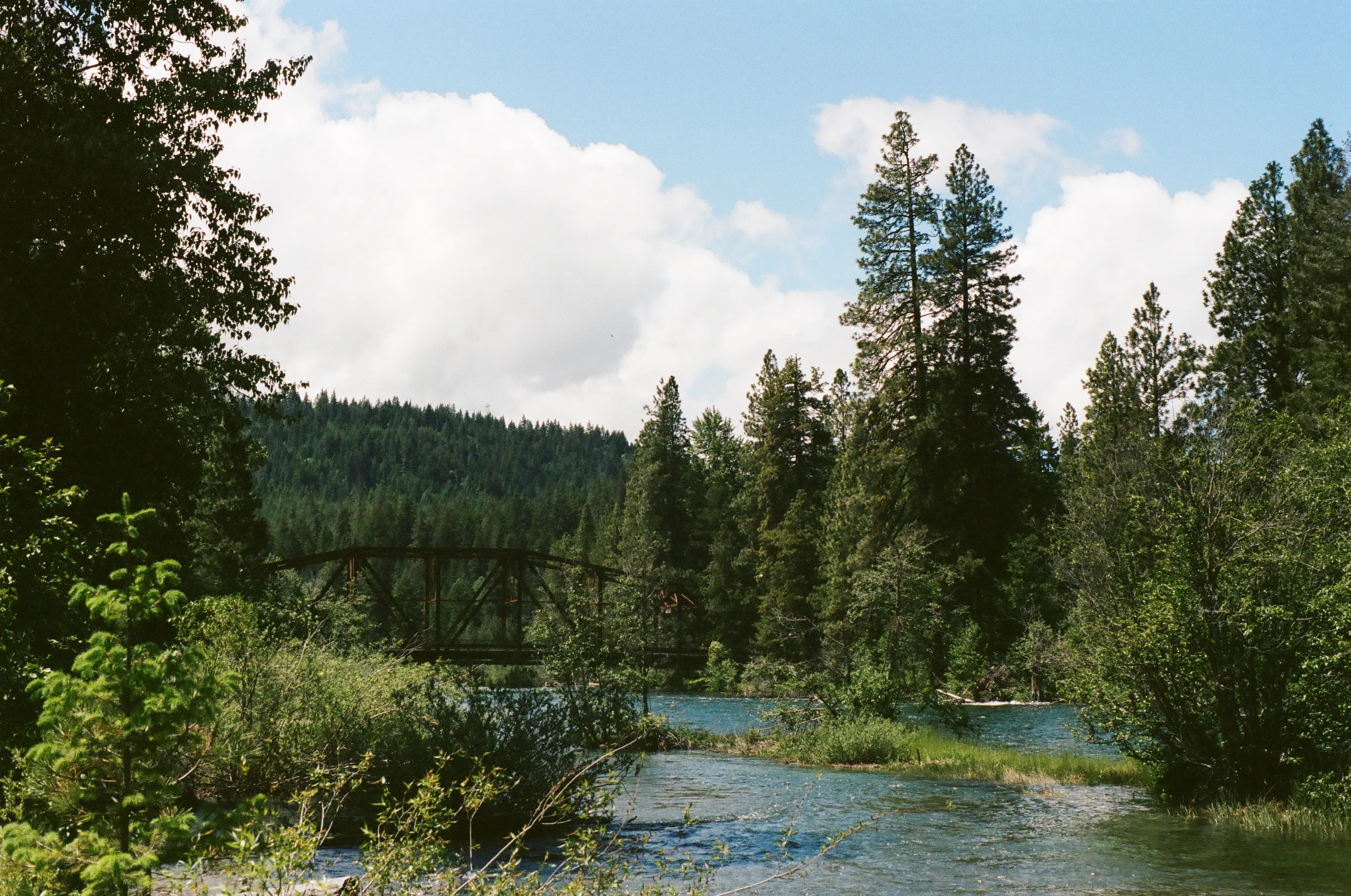 film photography by Nolan Go