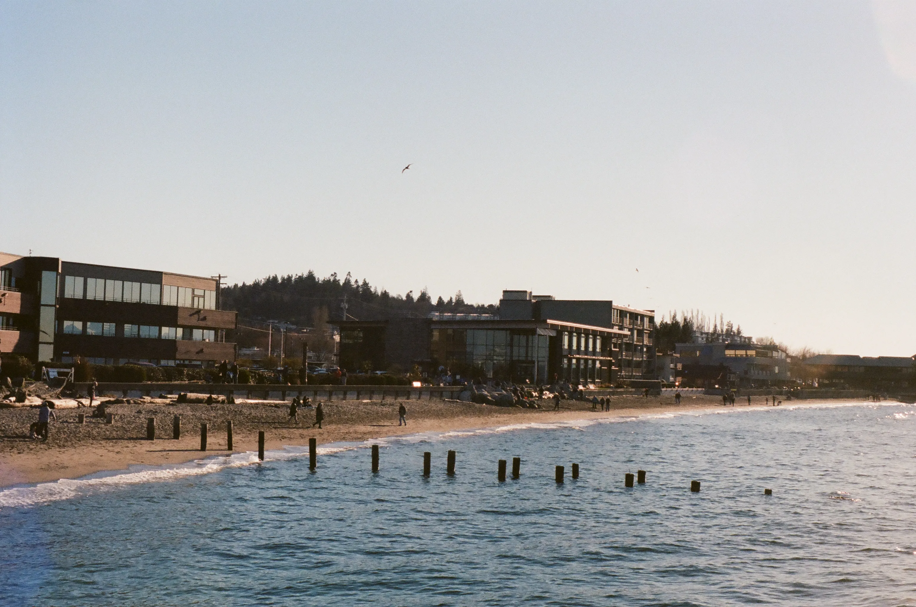 film photography by Nolan Go